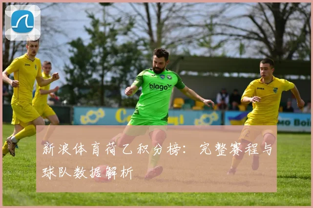 新浪体育荷乙积分榜：完整赛程与球队数据解析