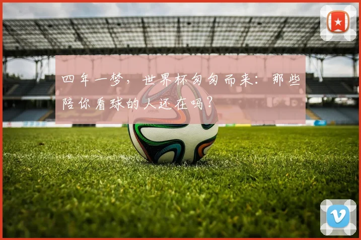 四年一梦，世界杯匆匆而来：那些陪你看球的人还在吗？