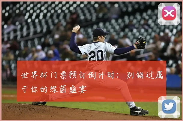 世界杯门票预订倒计时：别错过属于你的绿茵盛宴