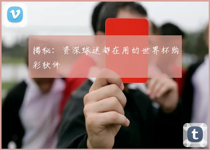 揭秘：资深球迷都在用的世界杯购彩软件