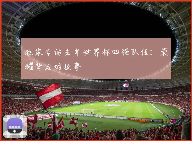 独家专访去年世界杯四强队伍：荣耀背后的故事
