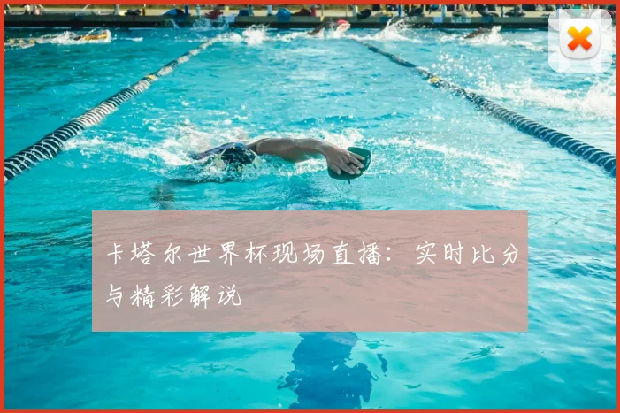 卡塔尔世界杯现场直播:实时比分与精彩解说