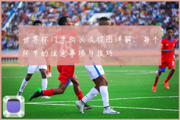 世界杯门票购买流程图详解：每个环节的注意事项与技巧