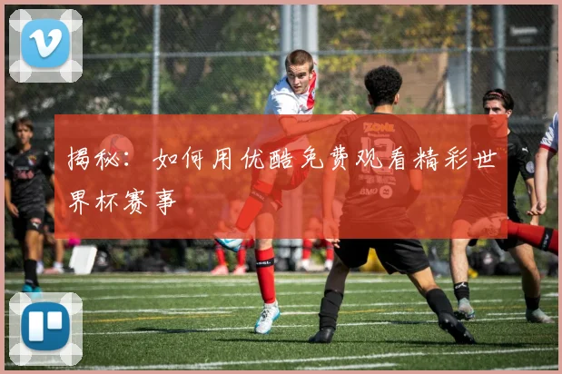 揭秘：如何用优酷免费观看精彩世界杯赛事
