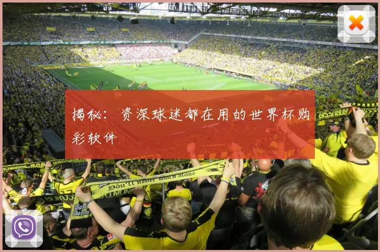 揭秘：资深球迷都在用的世界杯购彩软件