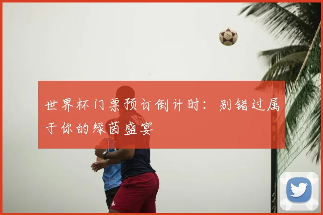 世界杯门票预订倒计时：别错过属于你的绿茵盛宴